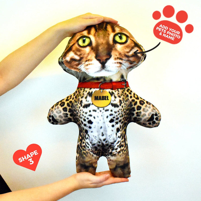 Leopard - Personalised Pet Mini Me