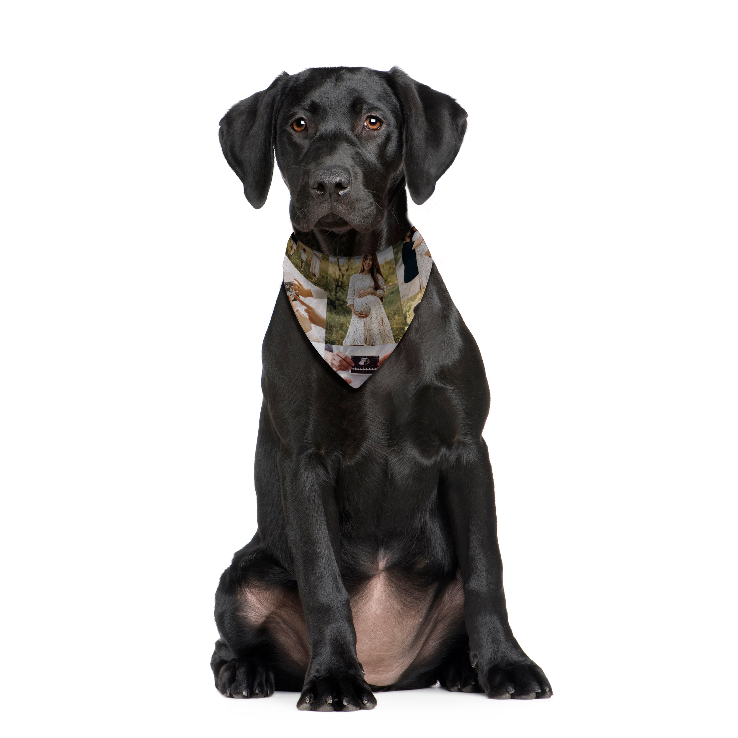 Photo Collage - Custom Personalised Dog Bandana - 4 Sizes