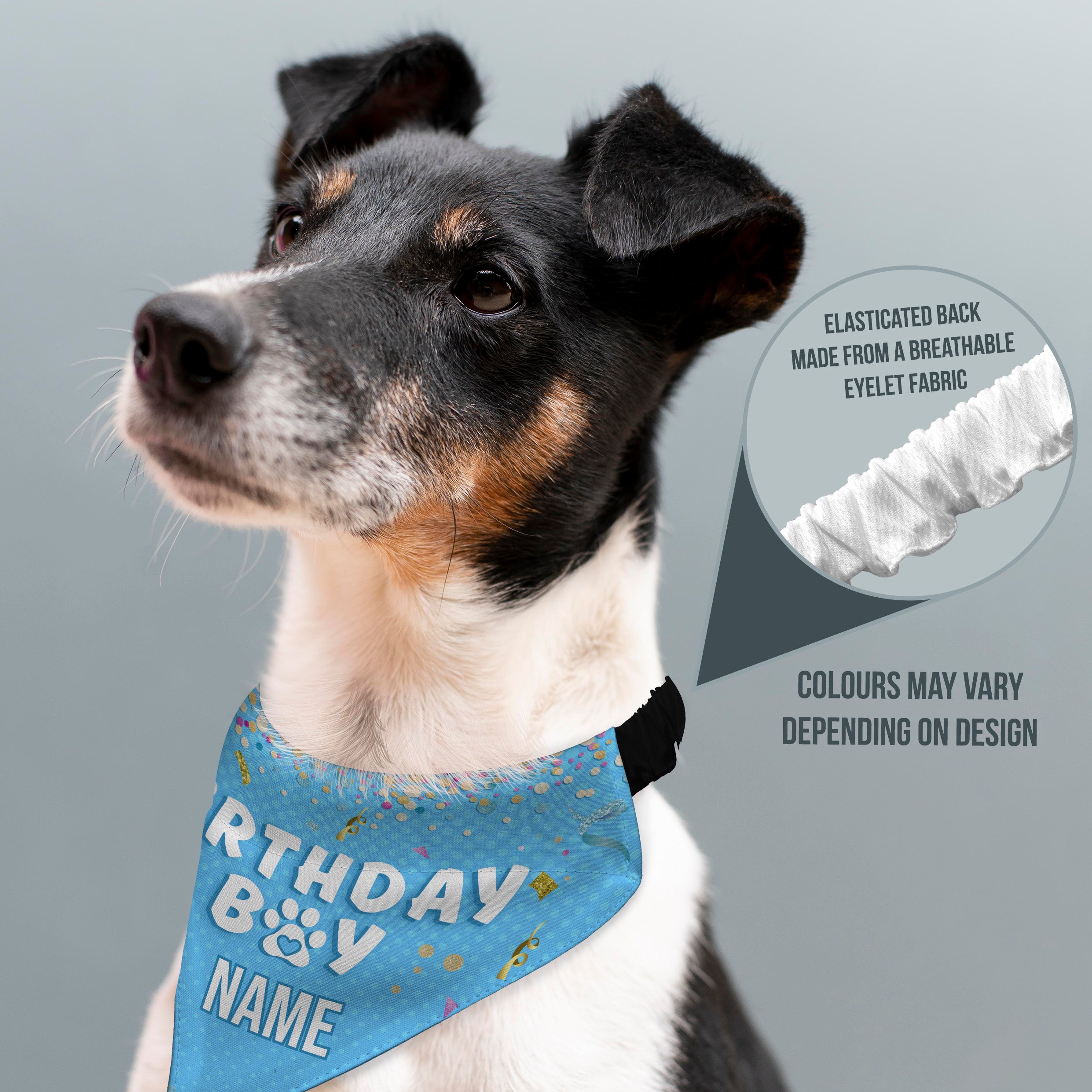 Birthday Boy - Confetti - Custom Personalised Dog Bandana - 4 Sizes