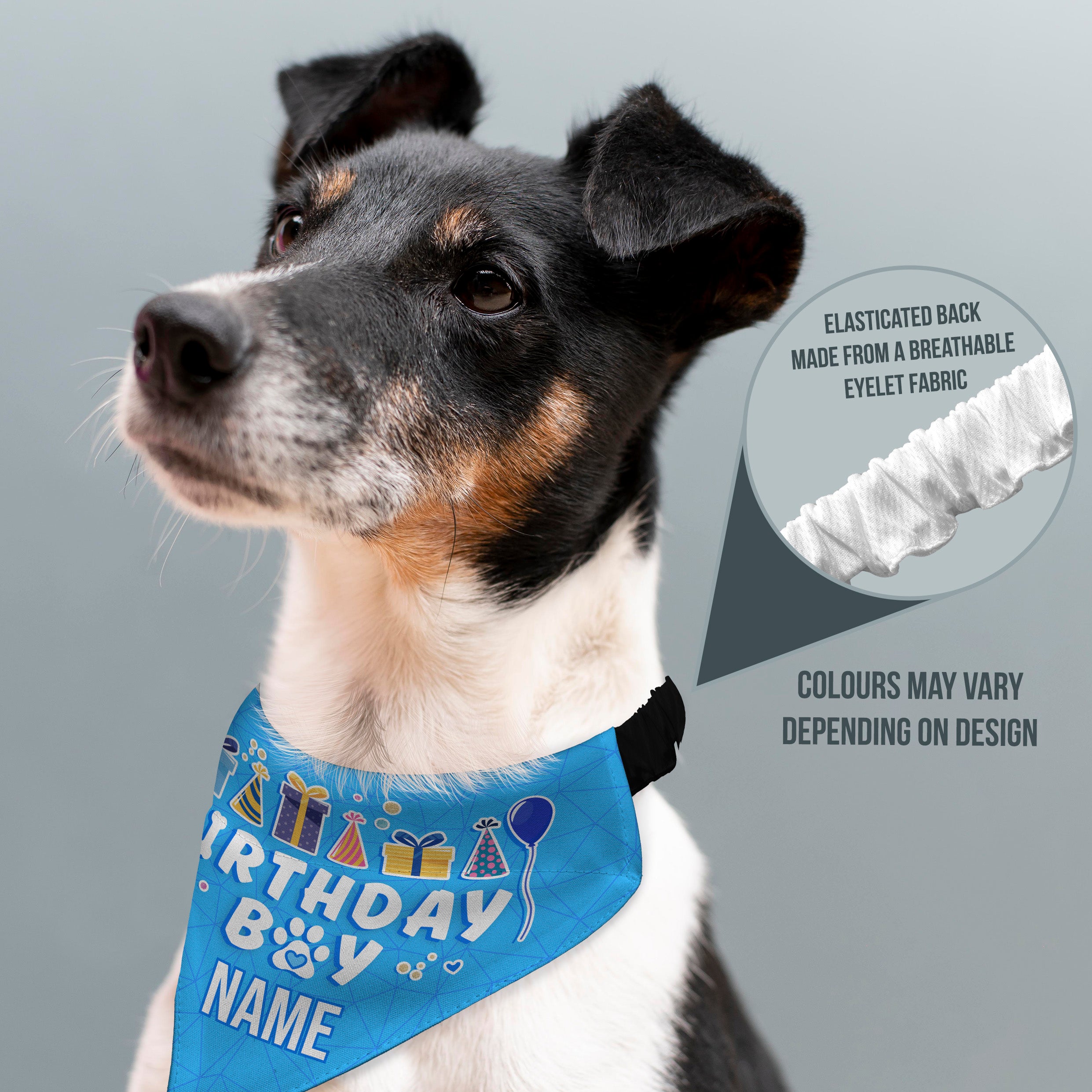 Birthday Boy - Custom Personalised Dog Bandana - 4 Sizes