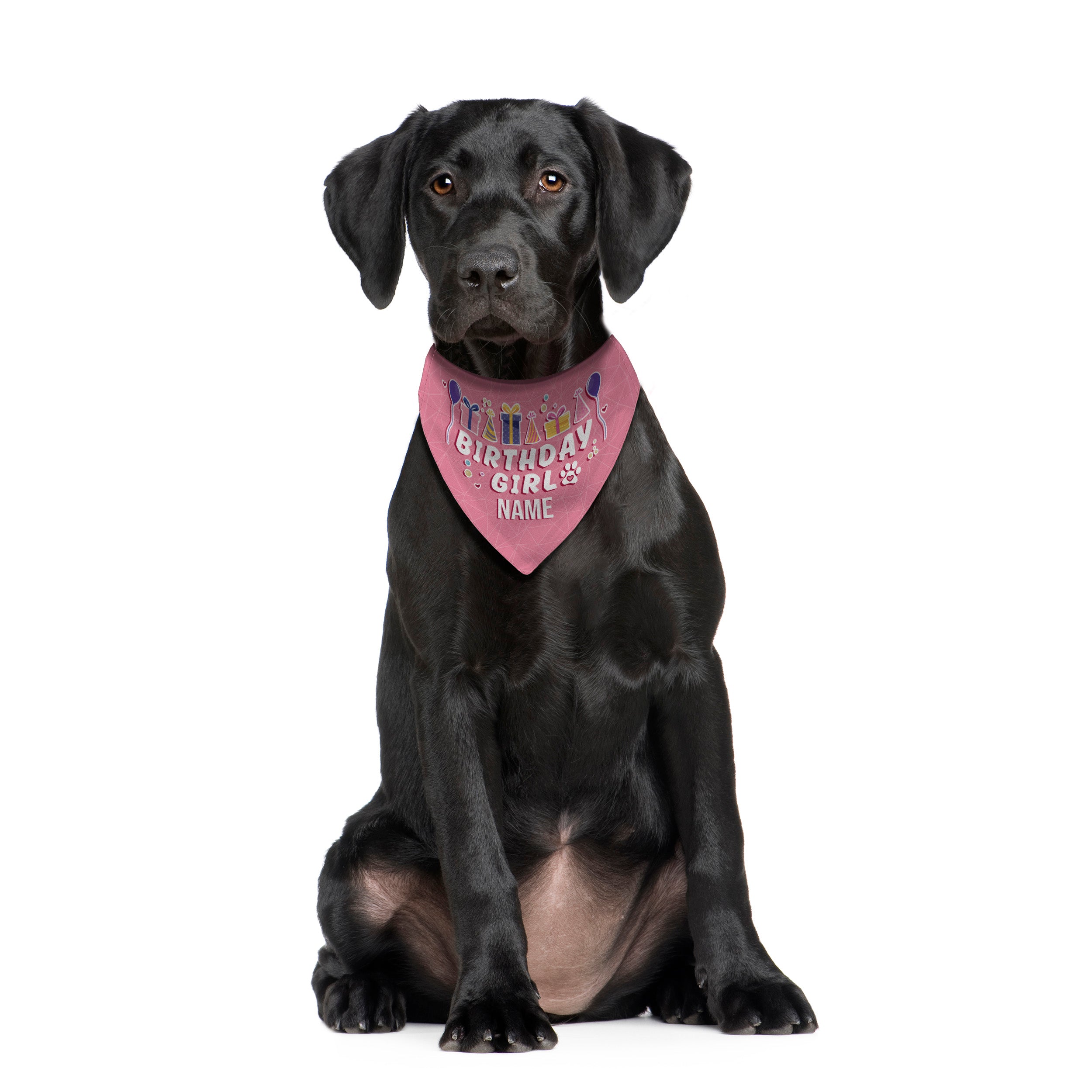 Birthday Girl - Custom Personalised Dog Bandana - 4 Sizes