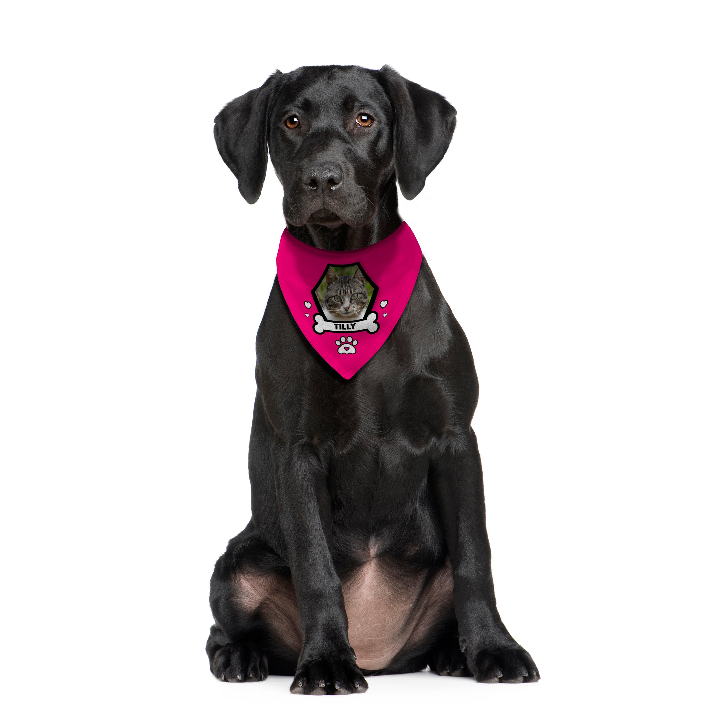 Pet Photo - Custom Any Colour - Personalised Dog Bandana - 4 Sizes