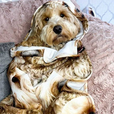 Customer's cockapoo wrapped up in a fleece blanket