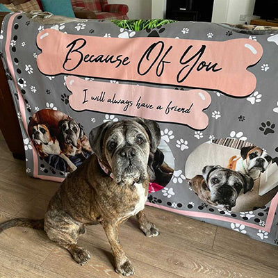 Customer's dog sitting in front of a personalised fleece blanket