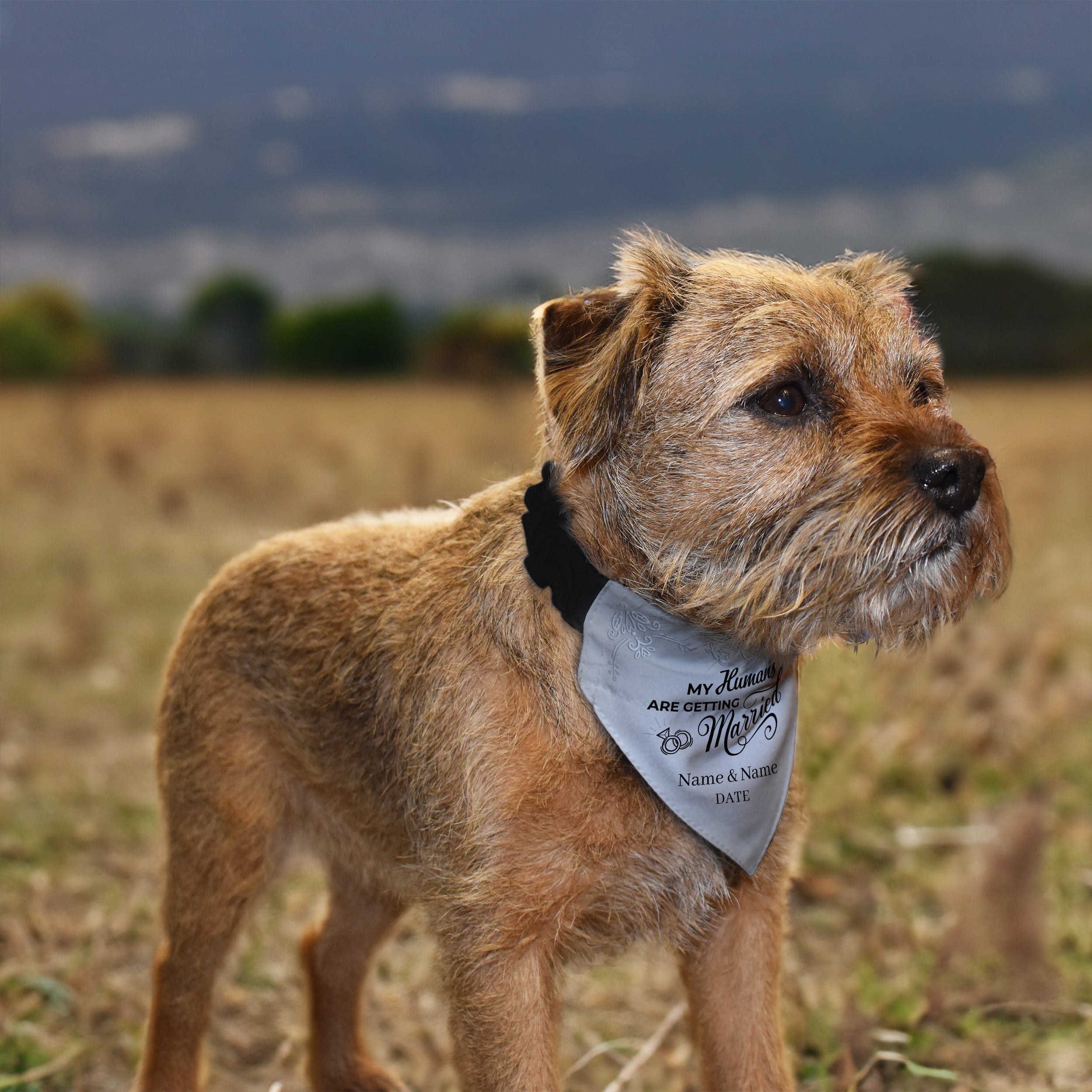 My Humans Are Getting Married - Custom Personalised Dog Bandana - 4 Sizes