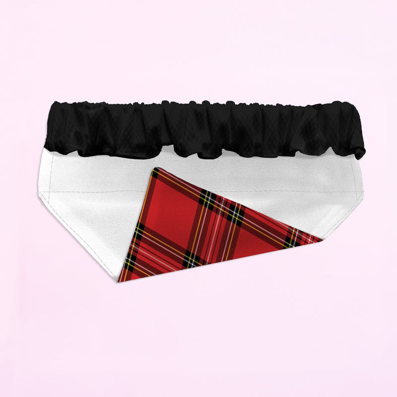 Just Here For The Snacks - Red Tartan - Dog Bandana - 4 Sizes