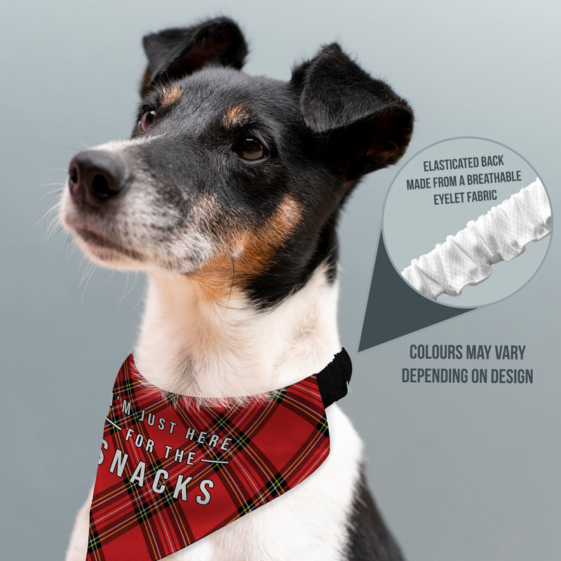 Just Here For The Snacks - Red Tartan - Dog Bandana - 4 Sizes