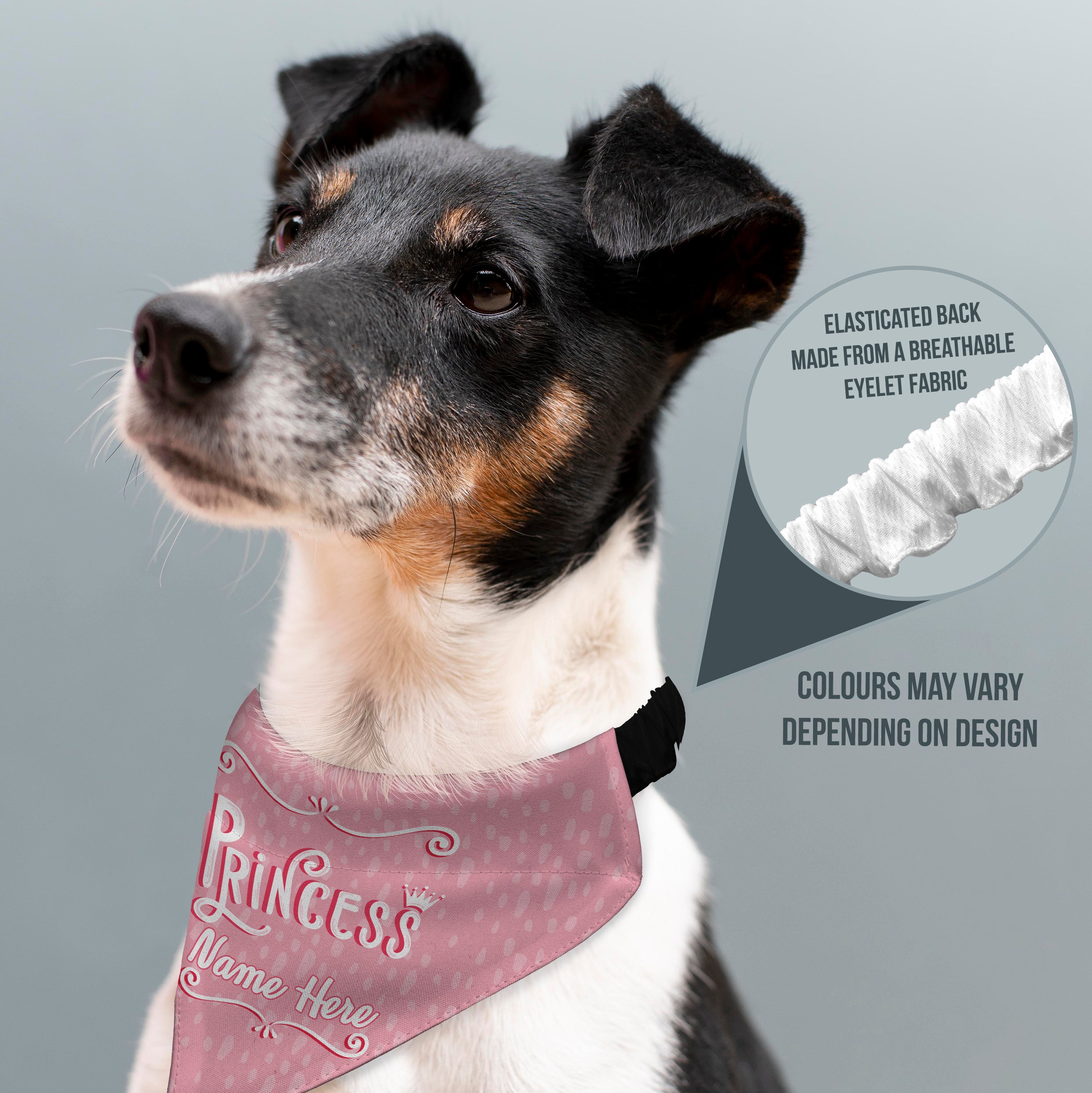 Princess - Pink - Custom Personalised Dog Bandana - 4 Sizes