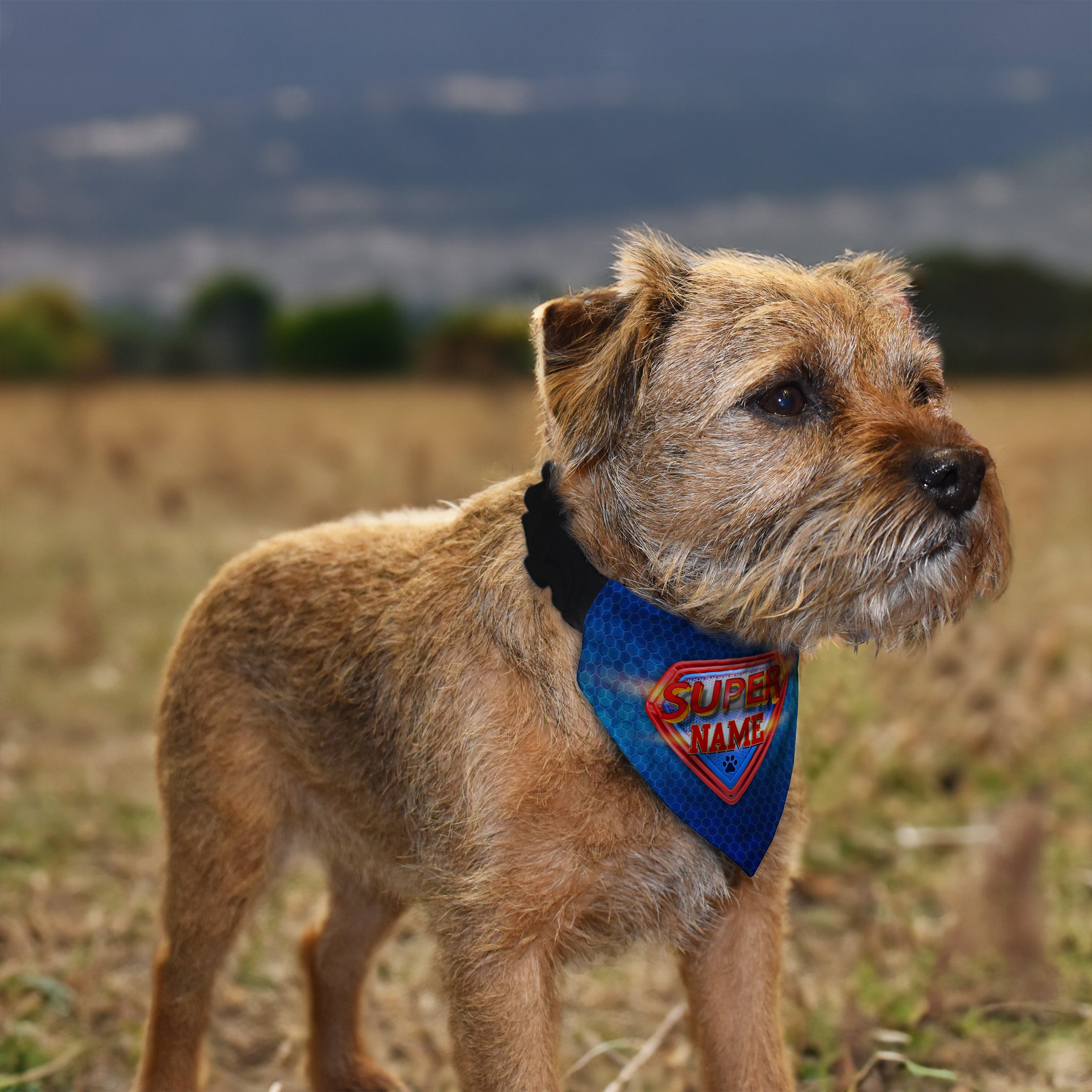 Superman - Custom Personalised Dog Bandana - 4 Sizes