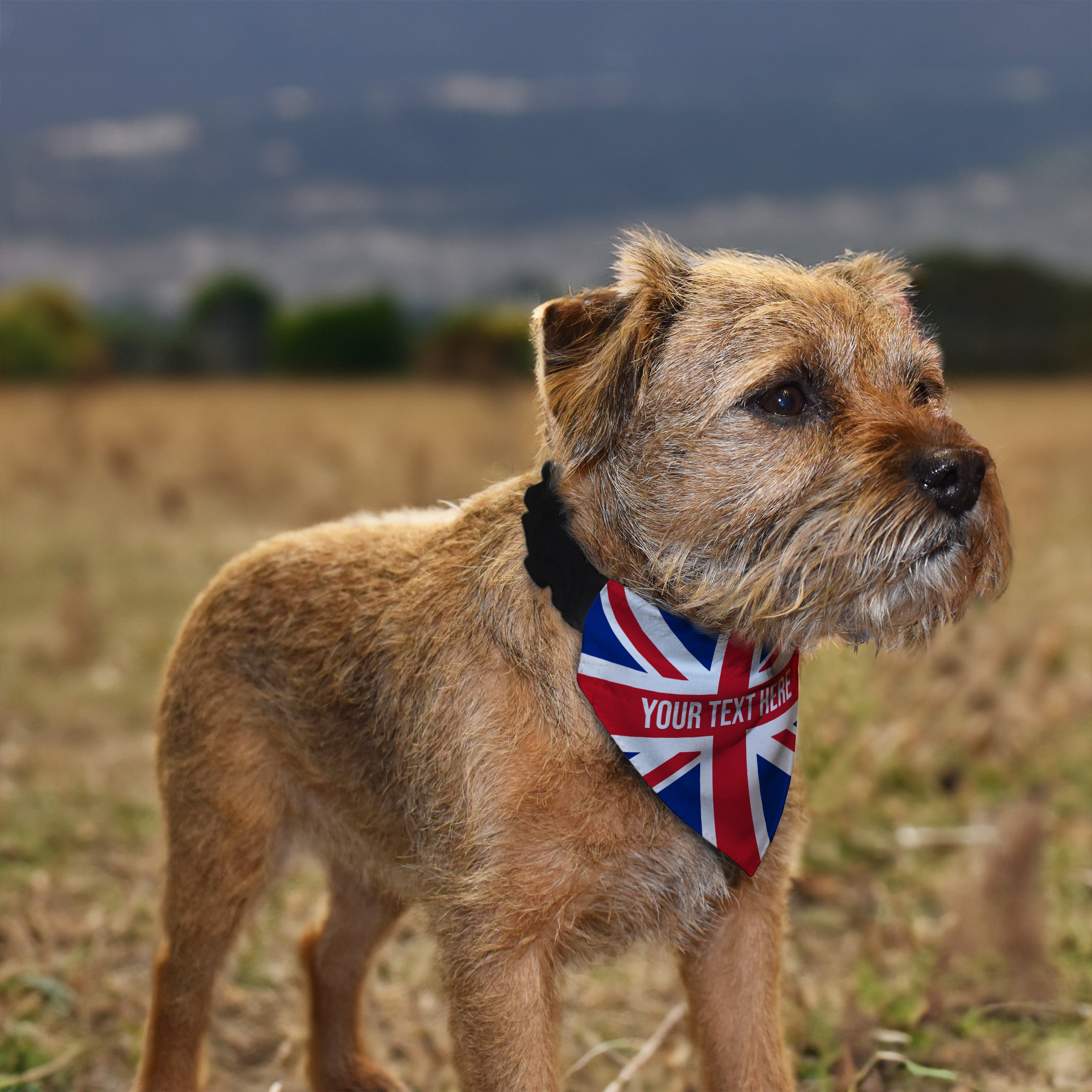 Union Jack Flag - Custom Personalised Dog Bandana - 4 Sizes