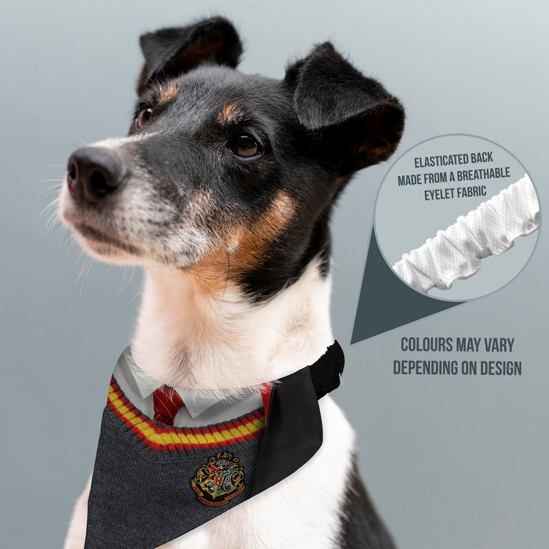 Wizard Uniform - Custom Personalised Dog Bandana - 4 Sizes