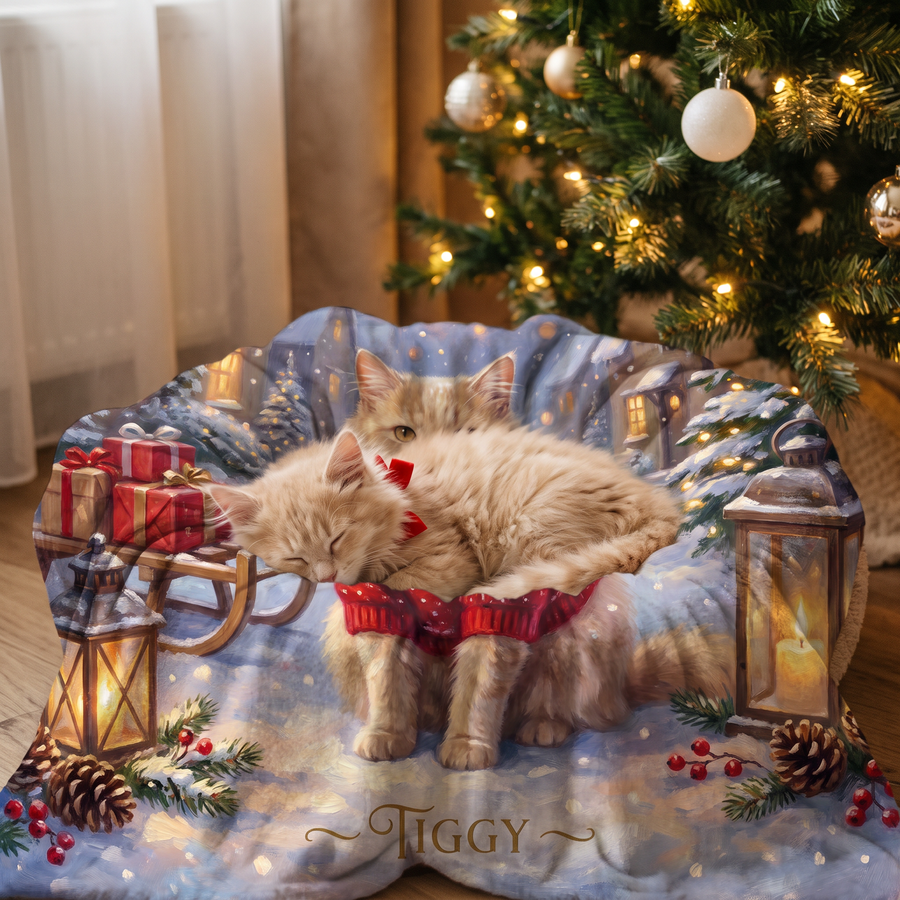 Lap size 75cm x 75cm Christmas Snowy Village pet portrait blanket