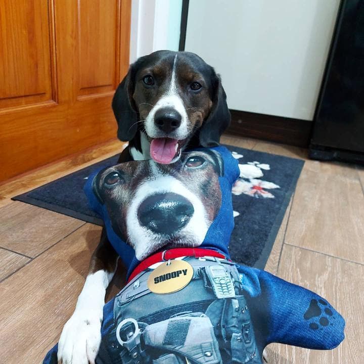 Personalised Mini Me Doll