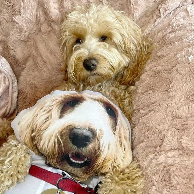 Personalised Pet Mini Me