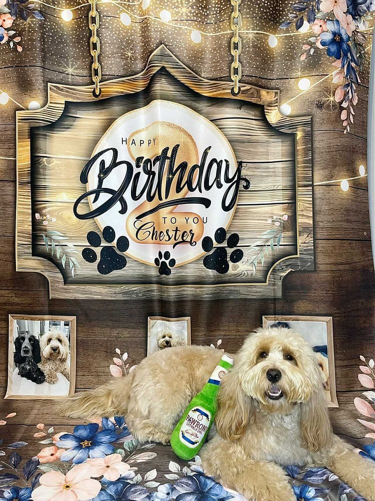 Happy Birthday Pet Dog Banner