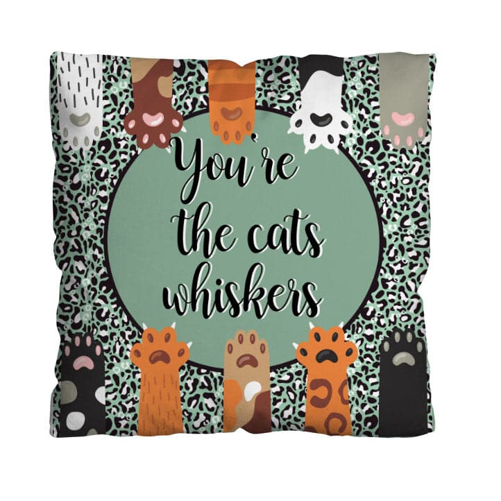 You're The Cat's whiskers! - 45cm Cushion