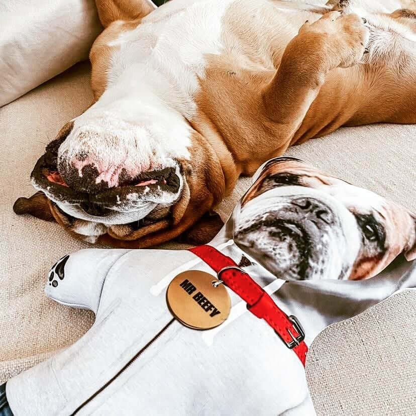 mini me pets, personalised dog cushion doll