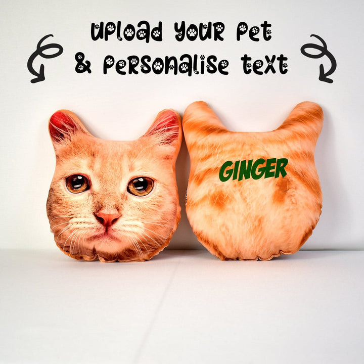 Pet Face Cushion - Ginger Fur
