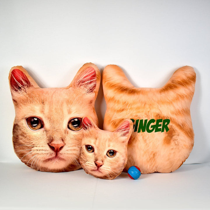 Pet Face Cushion - Ginger Fur