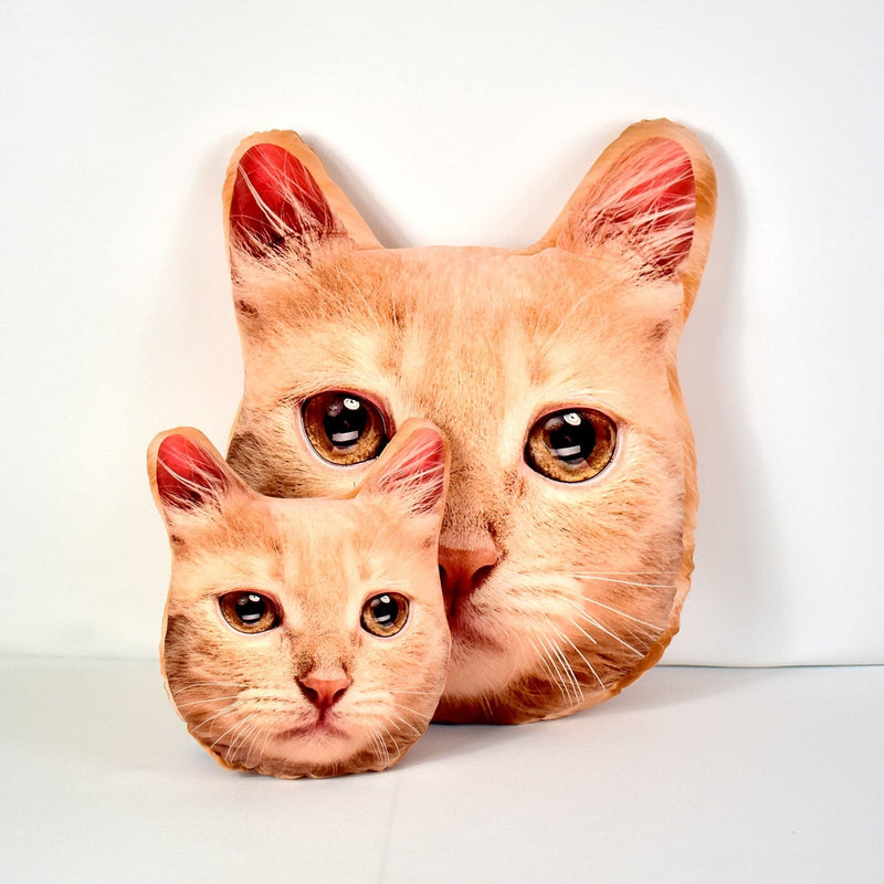 Mega Pet Face Cushion - Ginger Fur