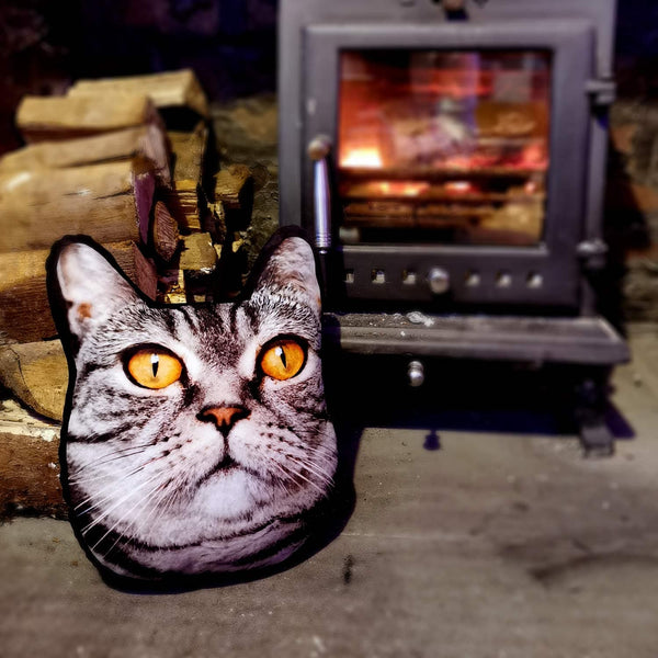 Cat Face Cushion | Pet Mushion UK