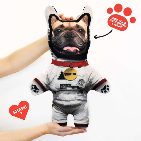 Astronaut - Personalised Pet Mini Me