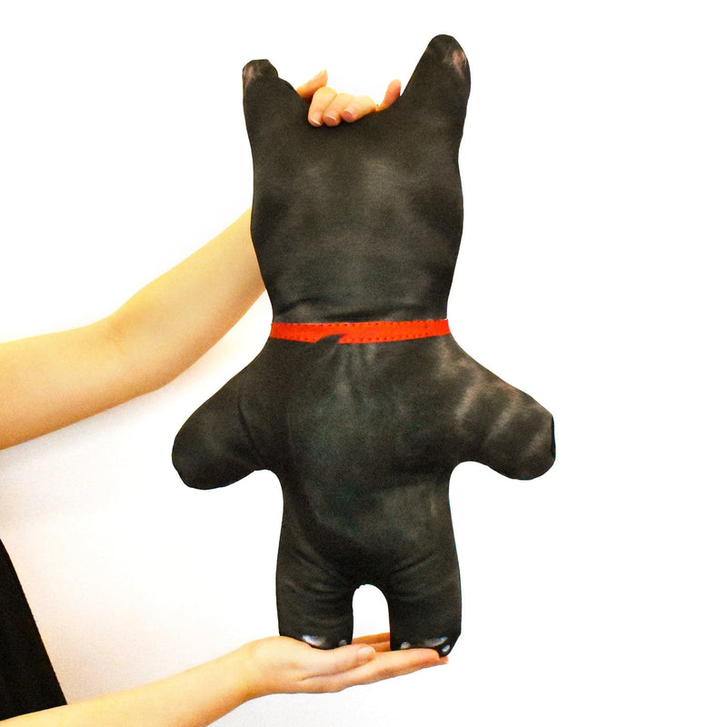 Black Dog Fur - Personalised Pet Mini Me