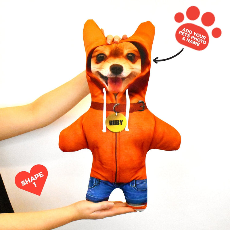 Orange Hoodie - Personalised Pet Mini Me