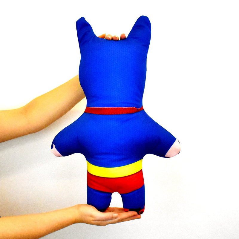 Superhero - Personalised Pet Mini Me