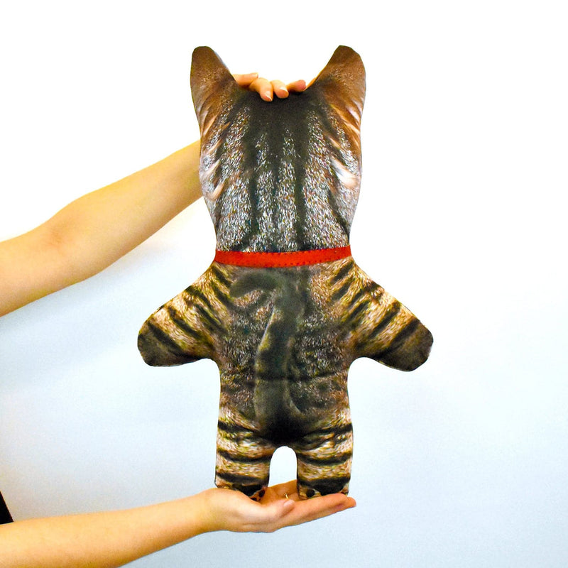 Tabby Cat Fur - Personalised Pet Mini Me