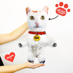 White Cat Fur - Personalised Pet Mini Me