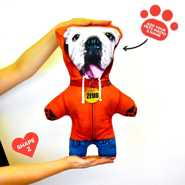 Orange Hoodie - Personalised Pet Mini Me