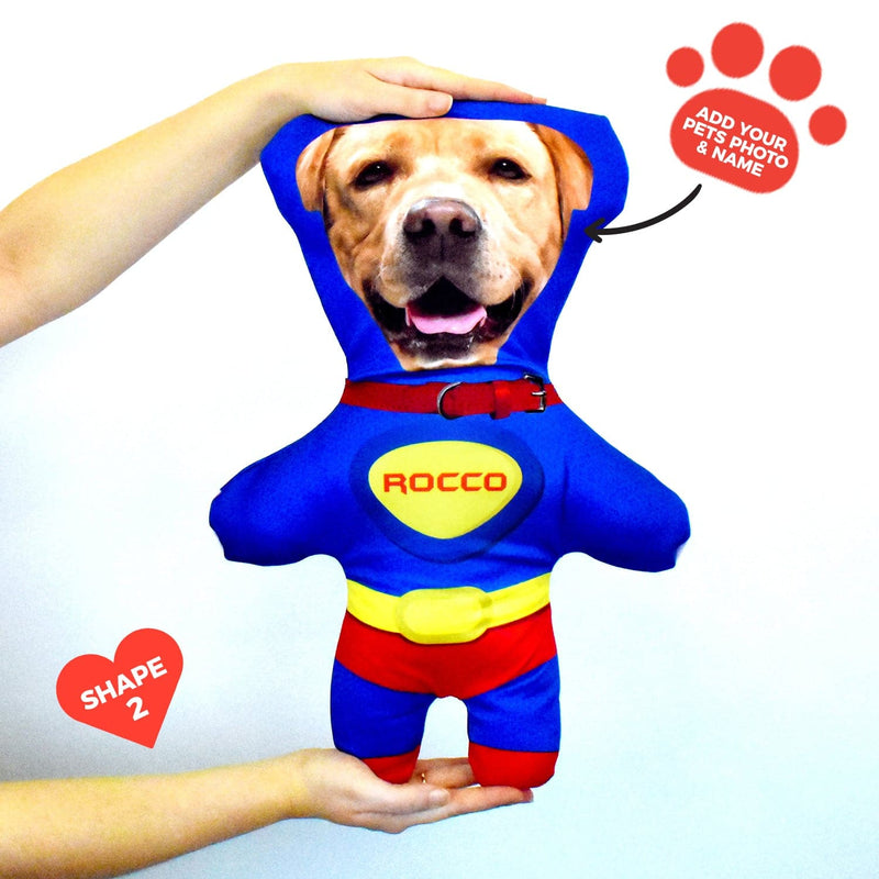 Superhero - Personalised Pet Mini Me