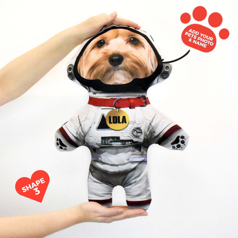 Astronaut - Personalised Pet Mini Me