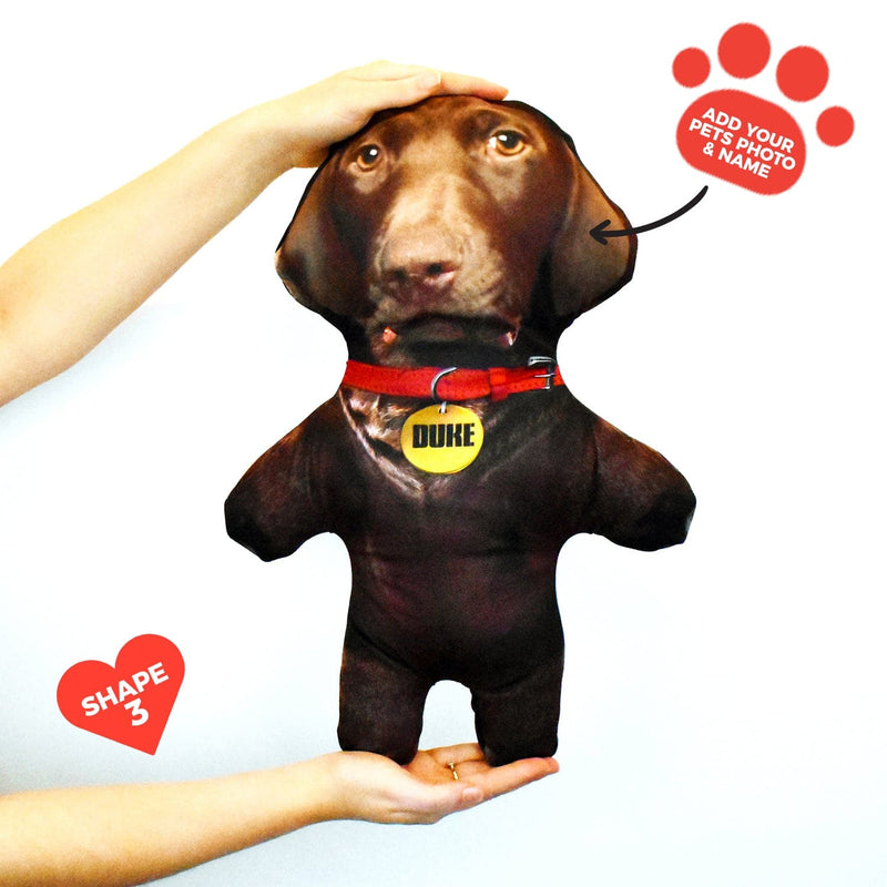 Brown Dog Fur - Personalised Pet Mini Me