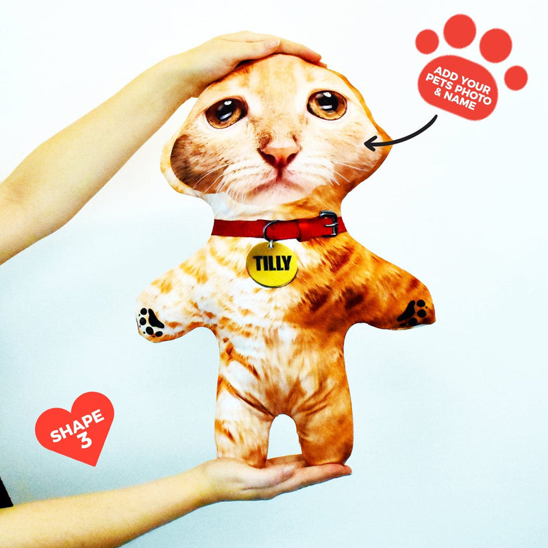 Ginger Cat Fur - Personalised Pet Mini Me