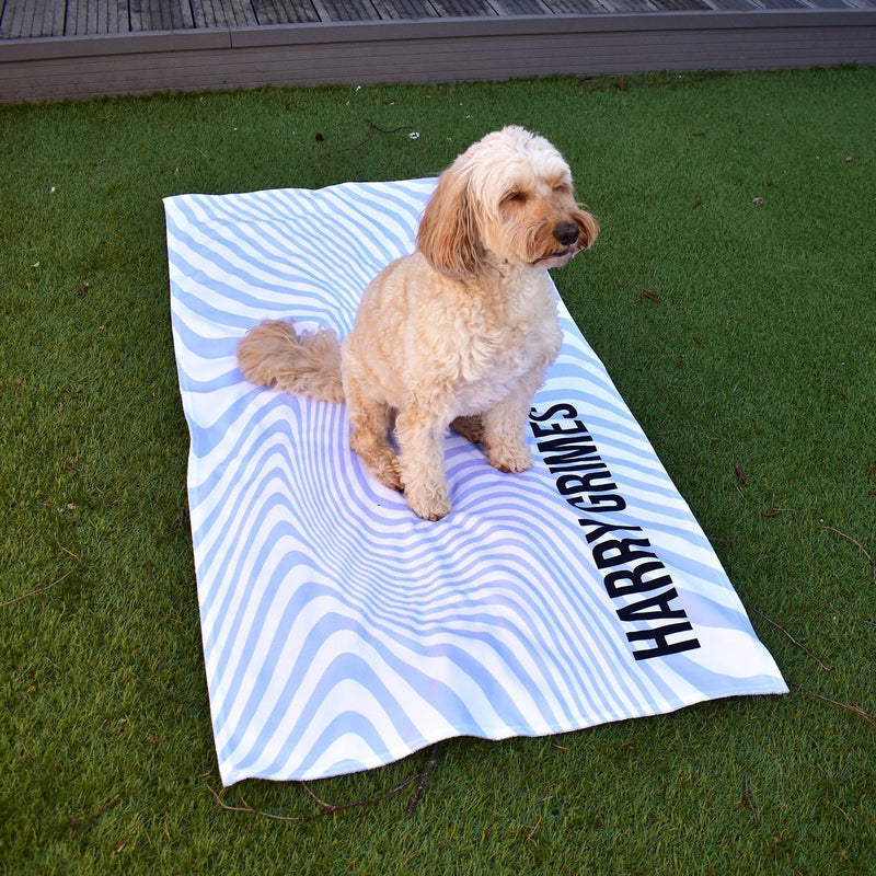 Dog on a beach towel - British Made Gifts