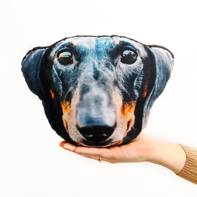 Pet Face Cushion - Create Your Own!