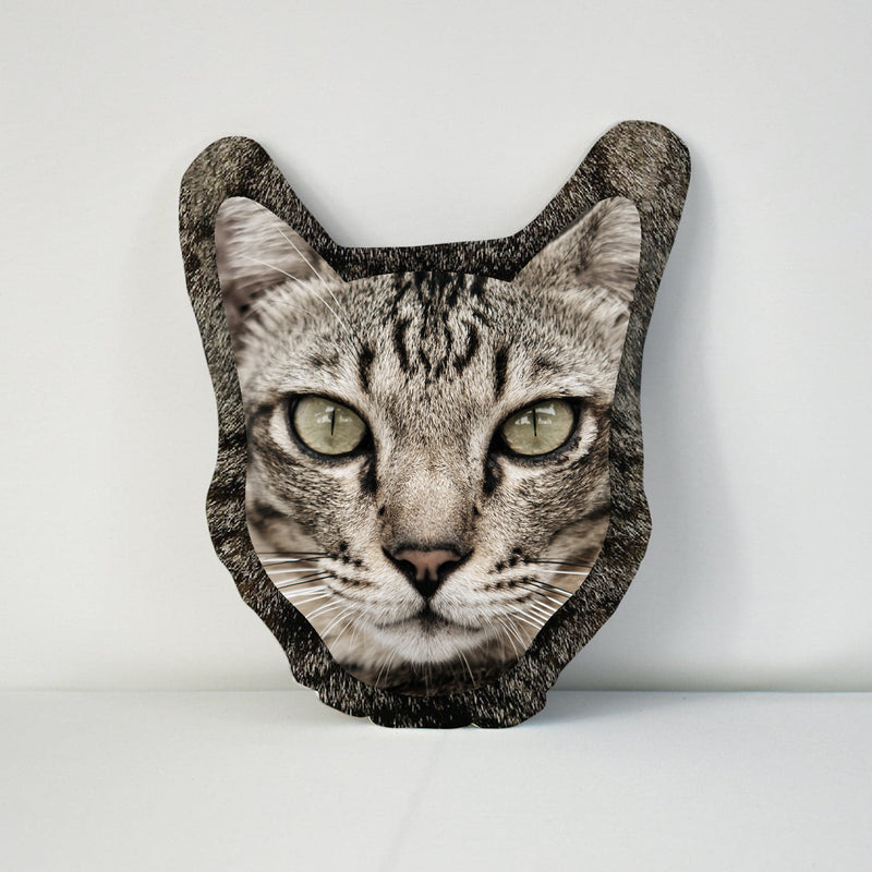 Pet Face Cushion - Tabby Fur