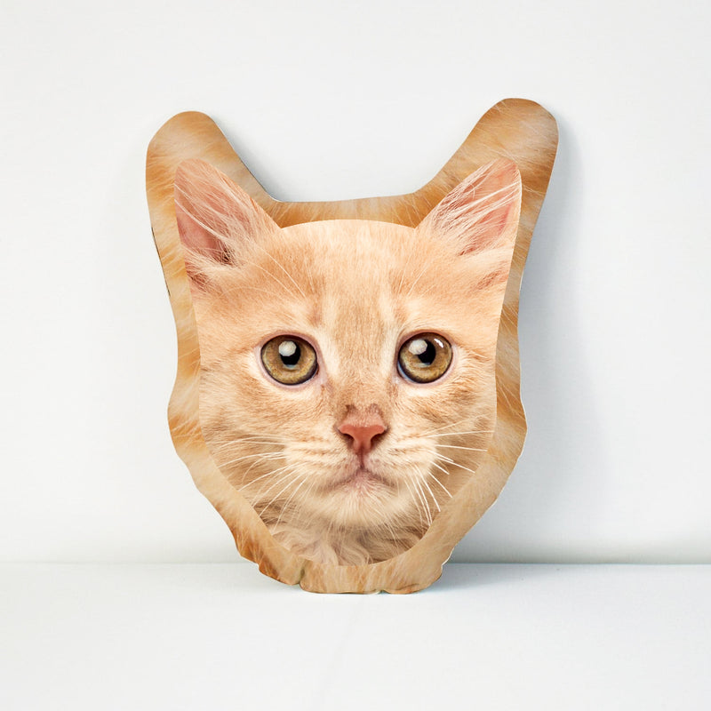 Pet Face Cushion - Ginger Fur