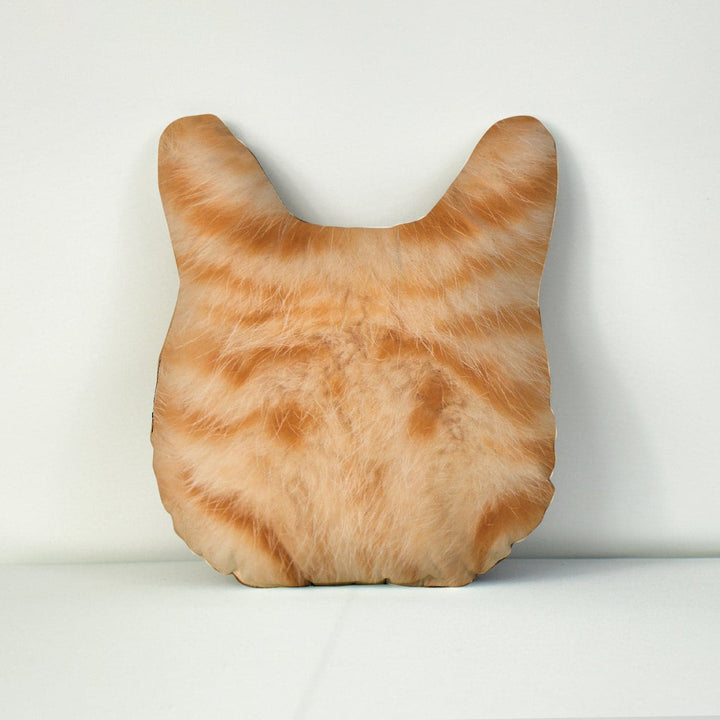 Pet Face Cushion - Ginger Fur