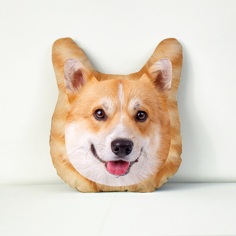 Mega Pet Face Cushion - Ginger Fur