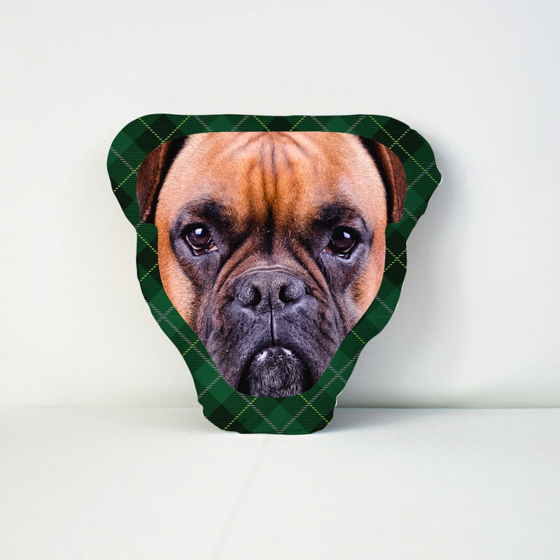 Mega Pet Face Cushion - Green Tartan
