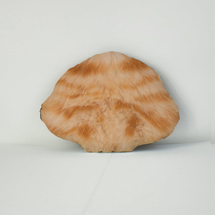 Pet Face Cushion - Ginger Fur