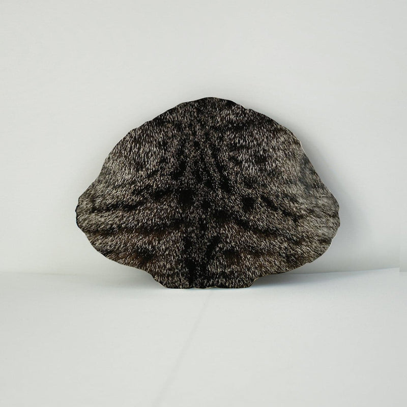 Pet Face Cushion - Tabby Fur