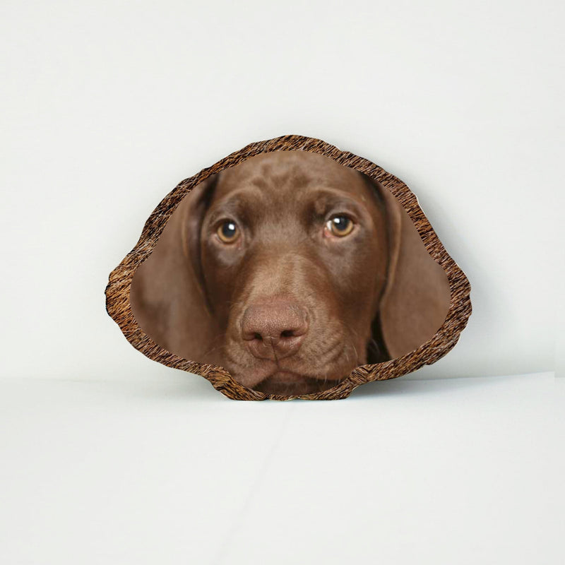 Pet Face Cushion - Brown Fur