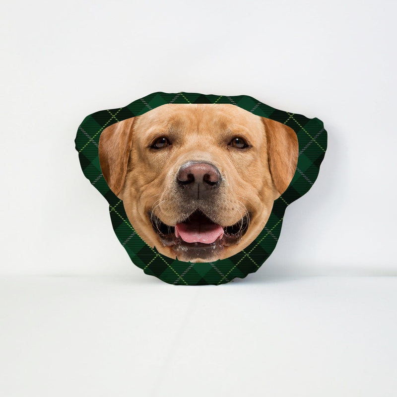 Pet Face Cushion - Green Tartan