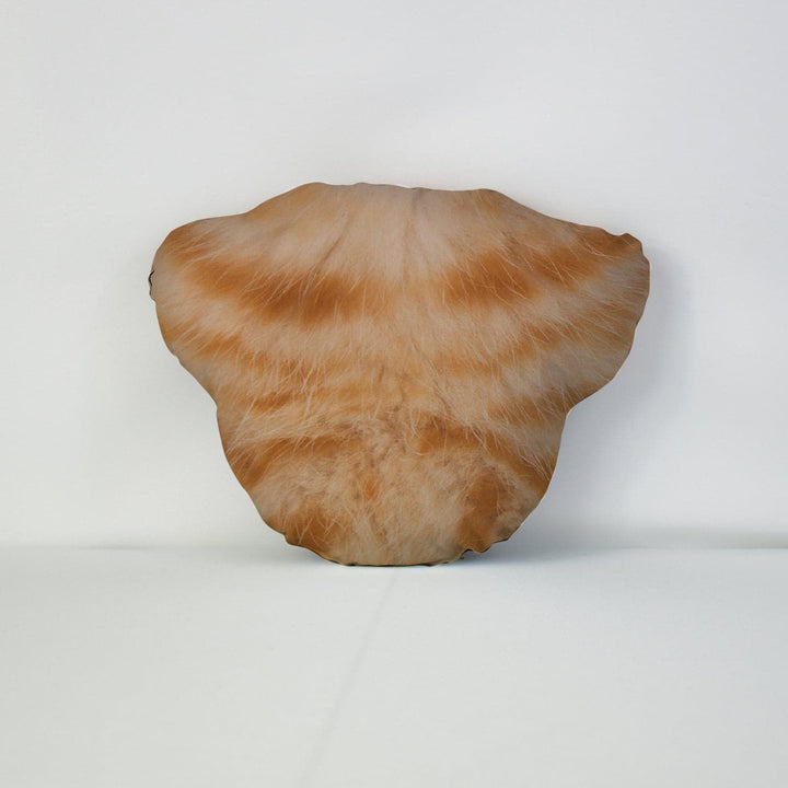 Pet Face Cushion - Ginger Fur