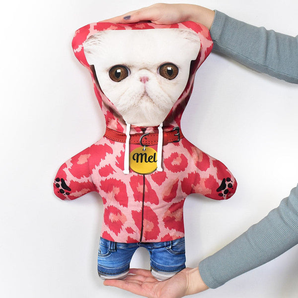 Pink Leopard Hoodie - Personalised Pet Mini Me
