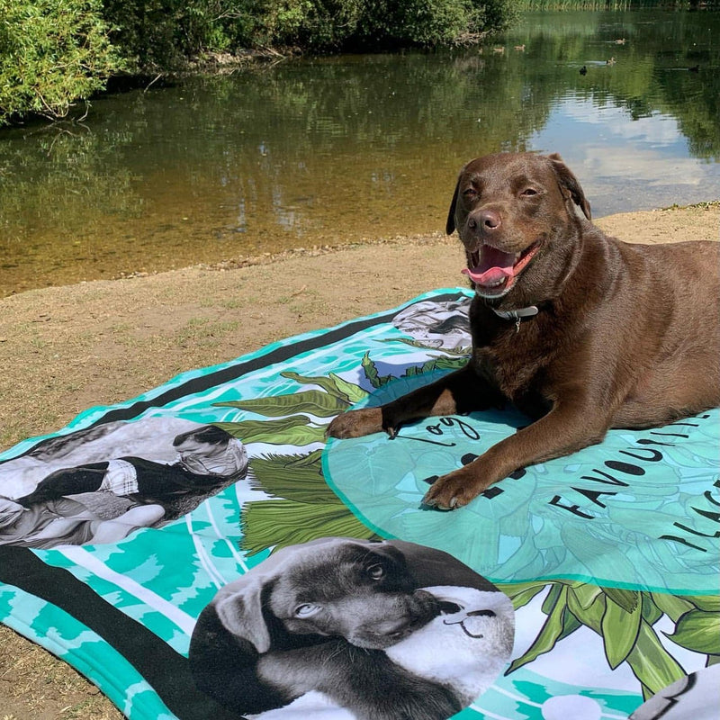French Bulldog - Colourful Pet Blanket
